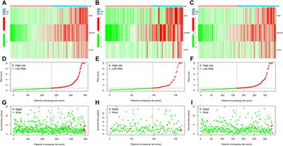 Association of a Novel Prognosis Model with Tumor Mutation Burden and Tumor-Infiltrating Immune Cells in Thyroid Carcinoma